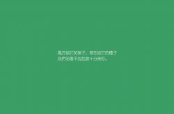 开云体育app-节奏之主，登贝莱执掌战鼓，厄瓜多尔在2026世界杯B组关键战中碾碎喀麦隆