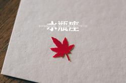 开云sport-布拉格的闪电，2026世界杯，加维与捷克的冷血革命