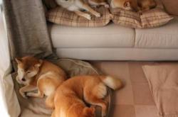 开云体育平台APP-联合杯绝杀法网预演？阿尔卡拉斯用状态火热点燃新赛季