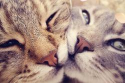 开云体育app-里程碑之夜，金玟哉创纪录，毕尔巴鄂竞技击溃巴西劲旅