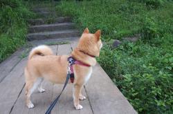 开云体育登录-黄色潜水艇撞上黑色礁石—卡瓦哈尔锁死比利亚雷亚尔，成为皇马晋级之匙