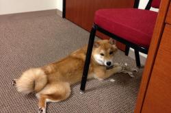 开云体育中国-冰点与沸点，当火箭掀翻新疆，西亚卡姆在世界杯完成寒冰接管