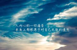 开云体育APP下载-西决生死战，独行侠的火力方程式如何将火箭拖入战略漩涡