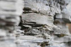 开云体育登录-沙漠之狮的致命一击，摩洛哥在2026世界杯A组以节奏掌控绝杀印度，罗德里戈演绎中场大师课