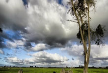 开云体育APP下载-东边日出西边雨，当印度风暴席卷羽坛，陈雨菲以柔韧定义王者