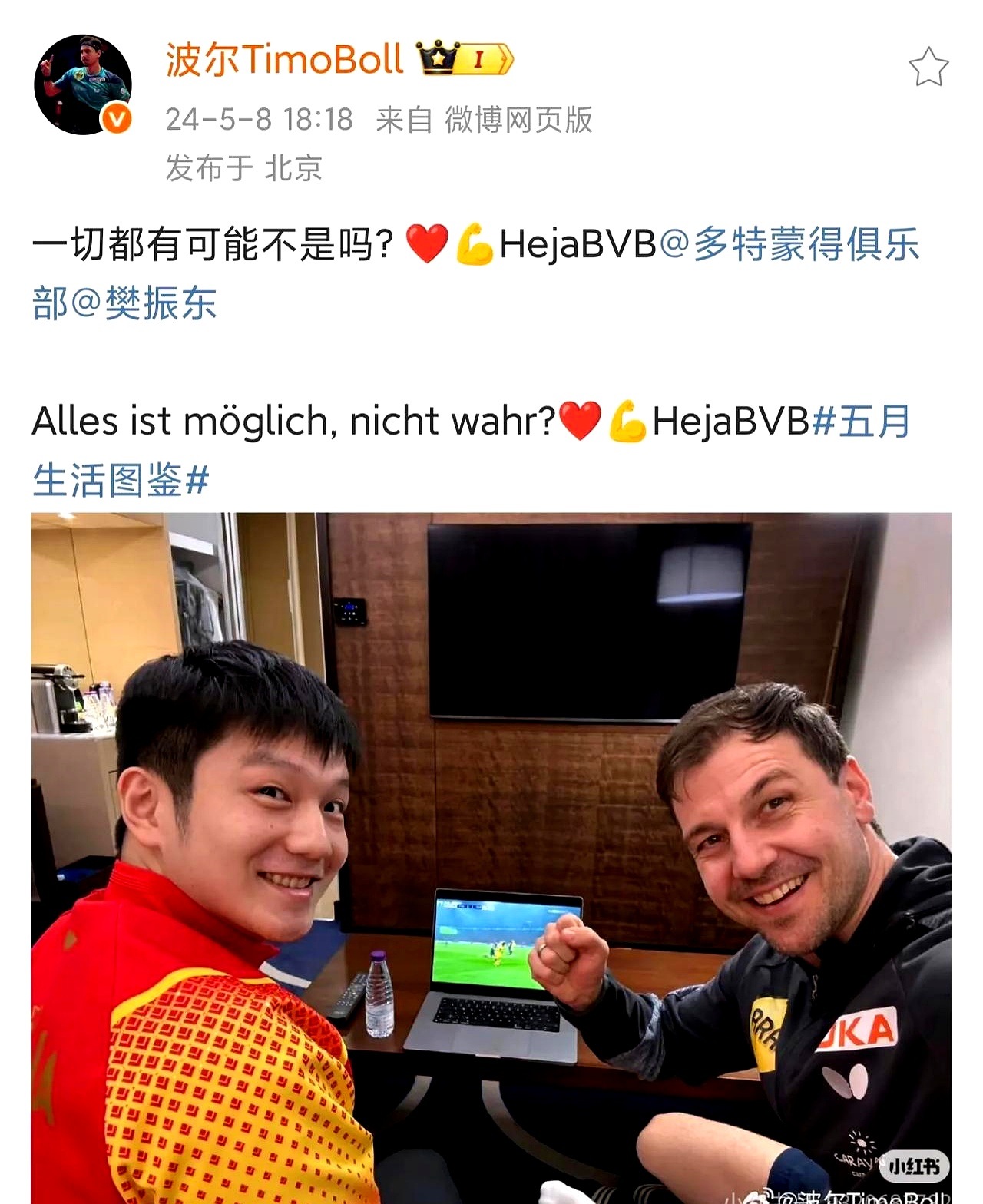 奥地利乒乓球队绝地反击中国乒乓球队,波尔送出助攻 奥地利乒乓球队绝地反击中国乒乓球队,波尔送出助攻