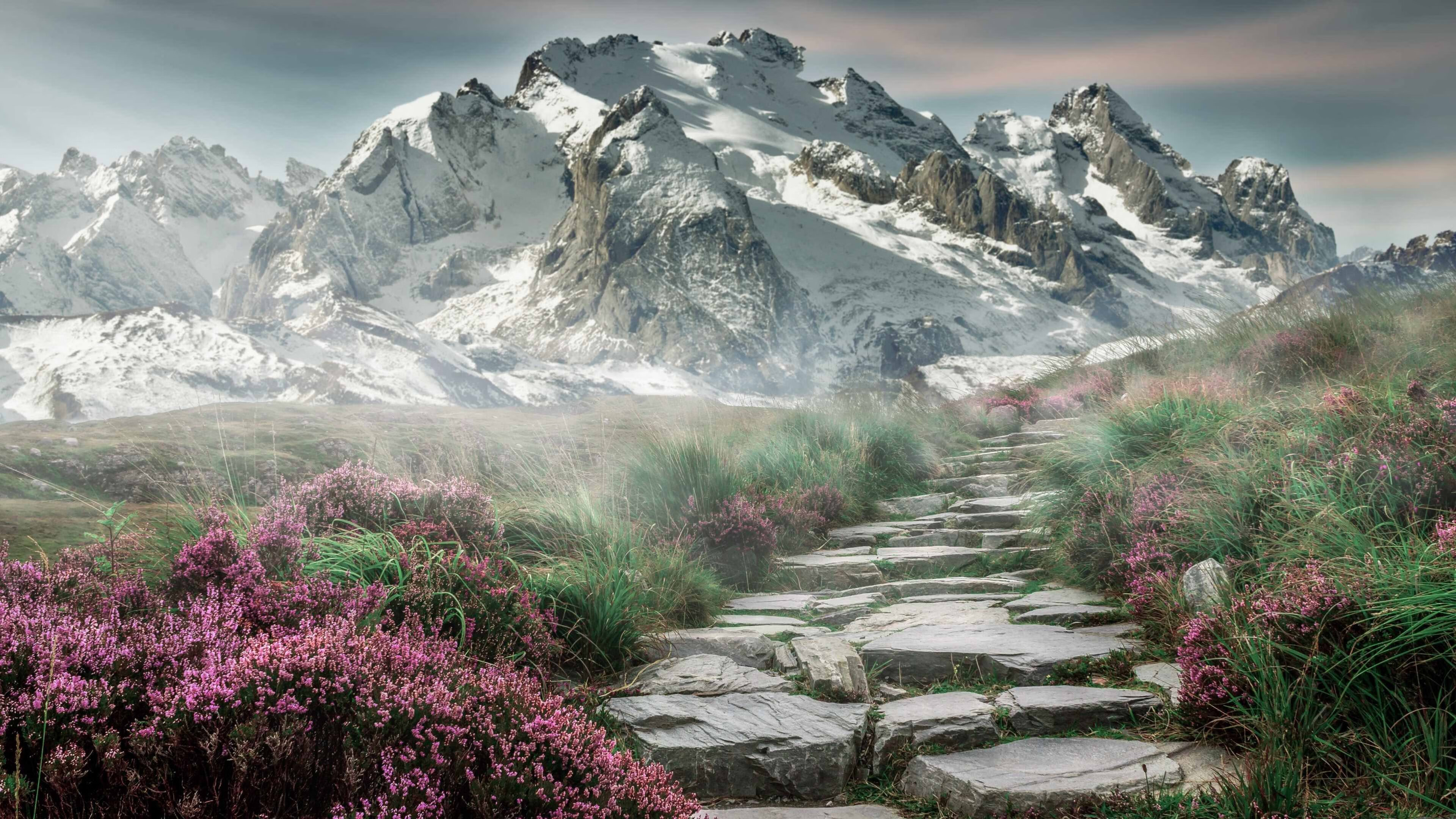 超越篮球的文化符号，独行侠击败天津，莫兰特扛起了一座城市的骄傲