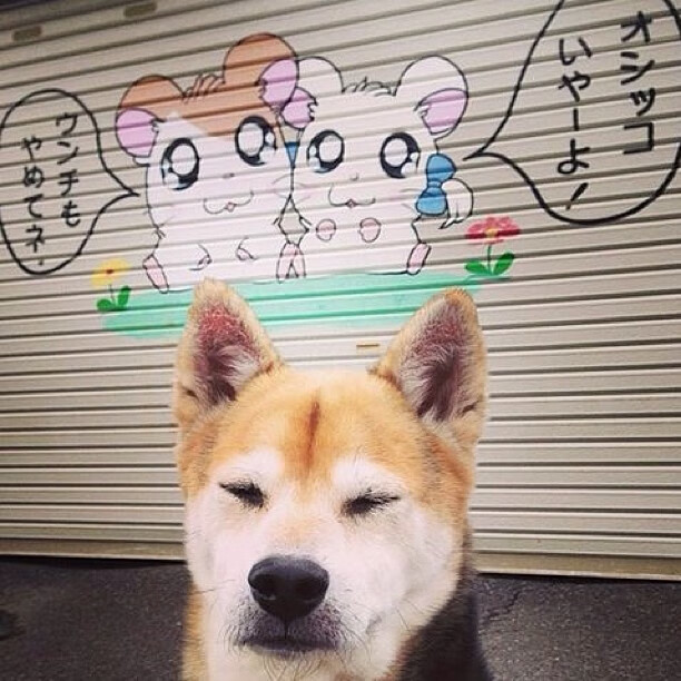 当迈凯伦的铁蹄踏过银石,为何唯有塞恩斯的身影穿透了尘烟?