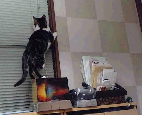 新冰火时代，英格兰的铁蹄与王皓的银球