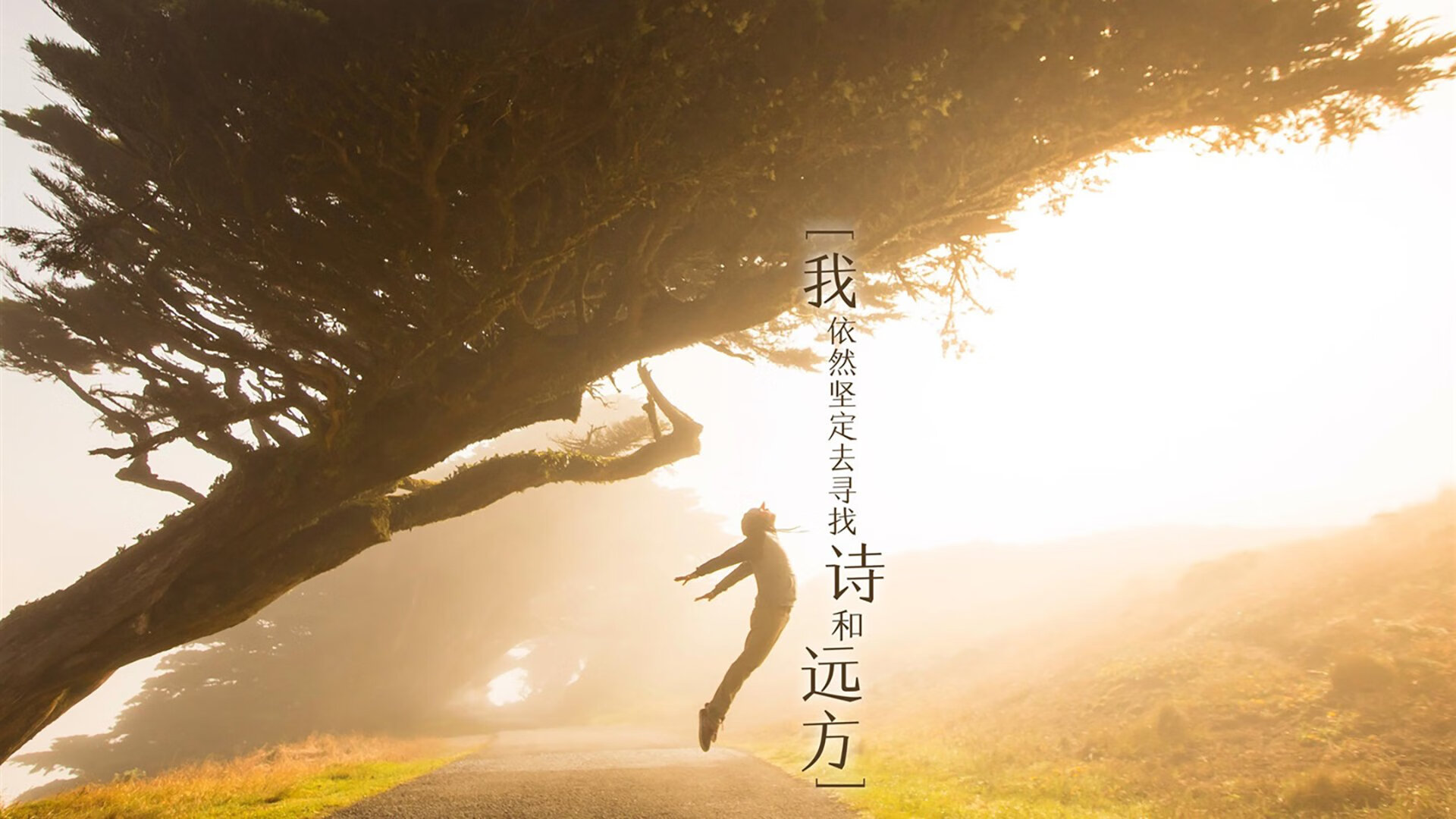 看到您提供的这两个关键词，我的第一反应是—这像是一场跨越时空的误译或一场精心构思的隐喻。请允许我为您构建一个独一无二的故事现场，它并非字面的征服，而是一次文化的碰撞与回响