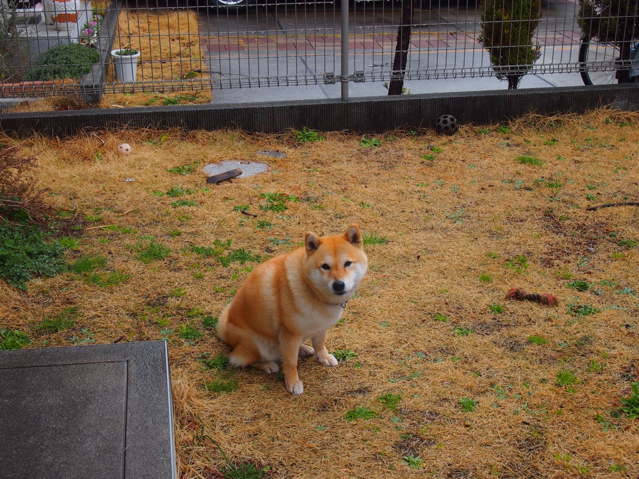 AC米兰强势晋级皇家社会，萨拉赫成为关键先生—一场属于平行世界的足球魔法