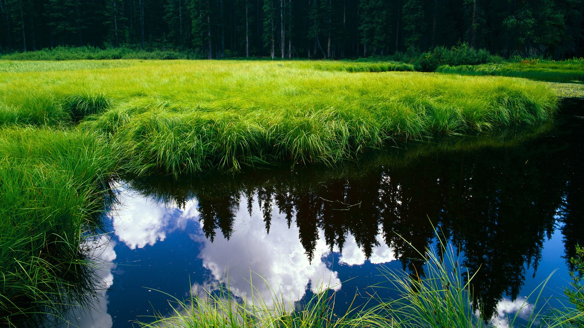 命运双线,布克接管F1争冠战役,奇才逆转火箭背后竟有神同步?