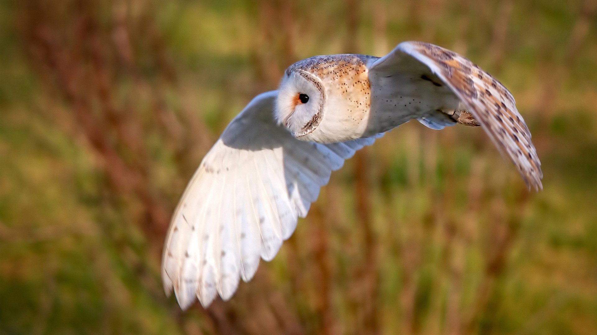 锡安44+18撕裂防线!步行者爆冷淘汰勇士,扛起球队的真是他?