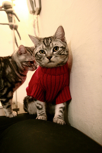 平行宇宙的交叉点,当广厦队翻盘雄鹿,霍勒迪成为关键先生