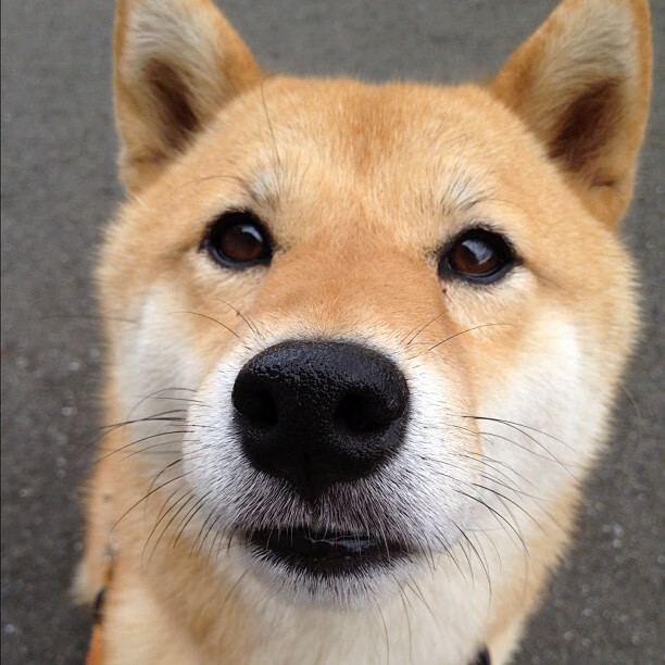 霍勒迪的匕首,持续制造杀伤,太阳稳稳摘下天山雪莲