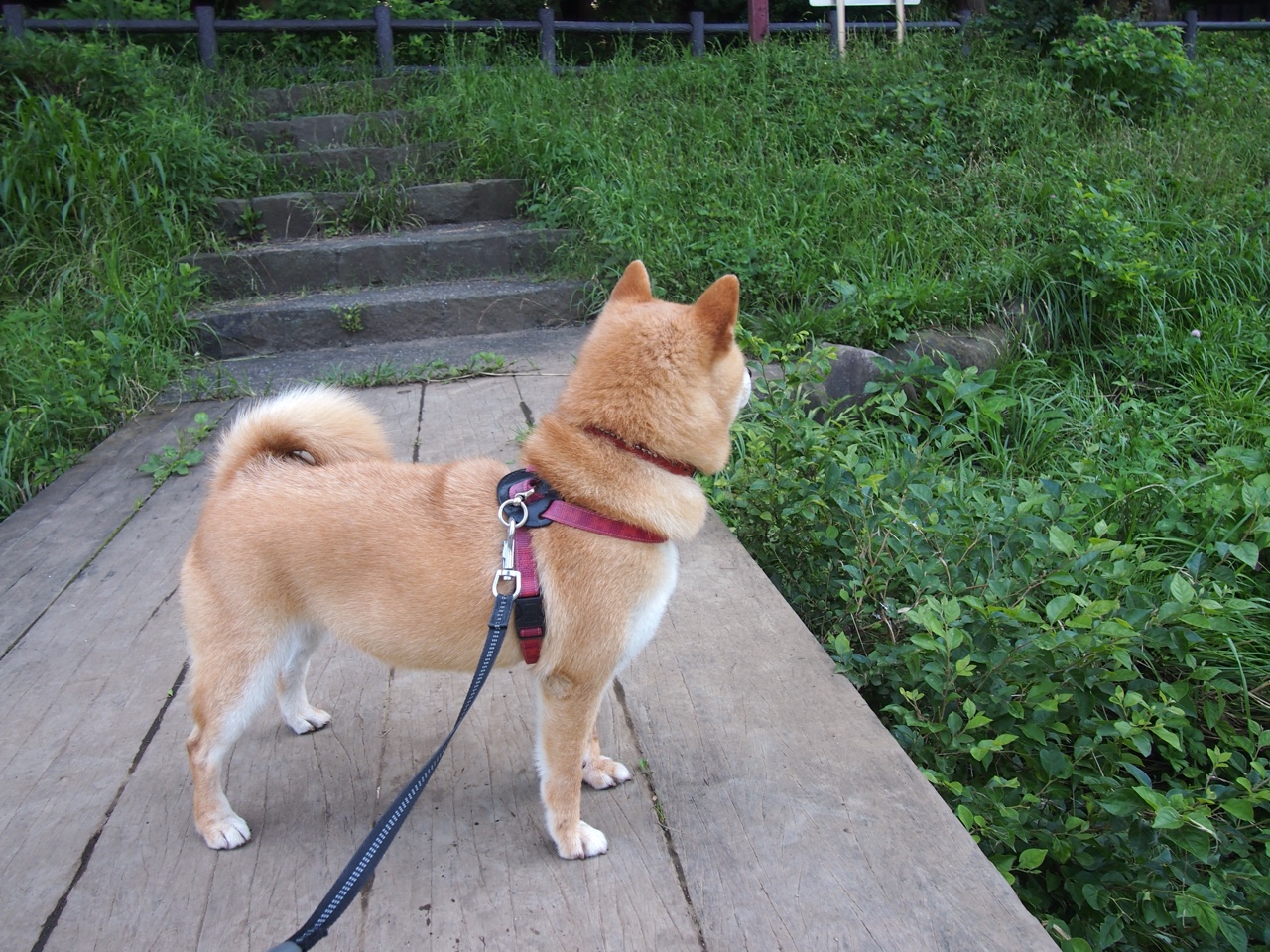 黄色潜水艇撞上黑色礁石—卡瓦哈尔锁死比利亚雷亚尔,成为皇马晋级之匙