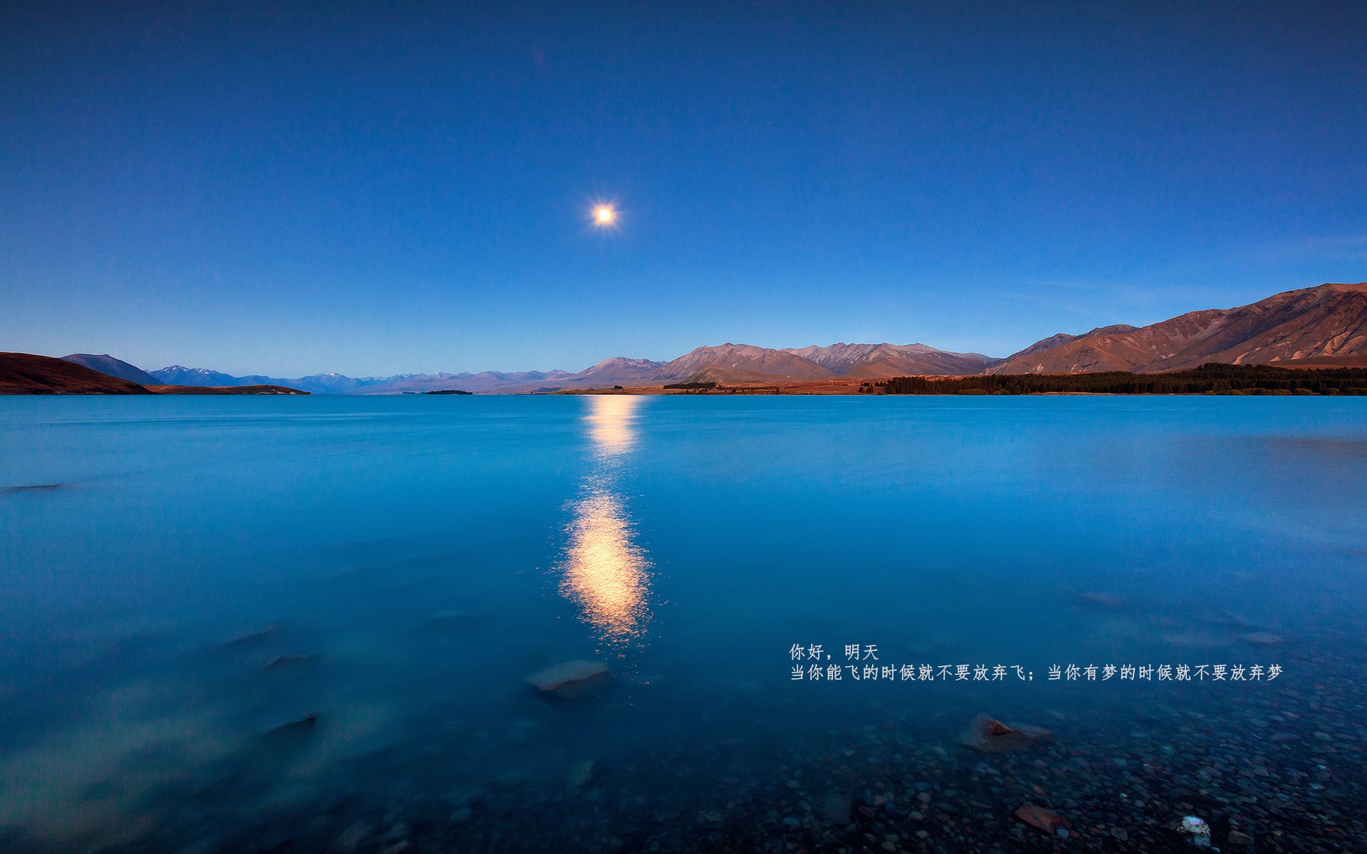 客场变主场，字母哥斩获关键先生，凯尔特人踏平掘金