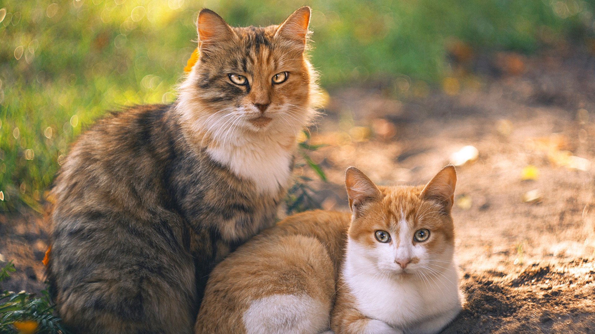 风暴眼与救赎，布雷默绝杀助毕尔巴鄂撕裂曼城防线