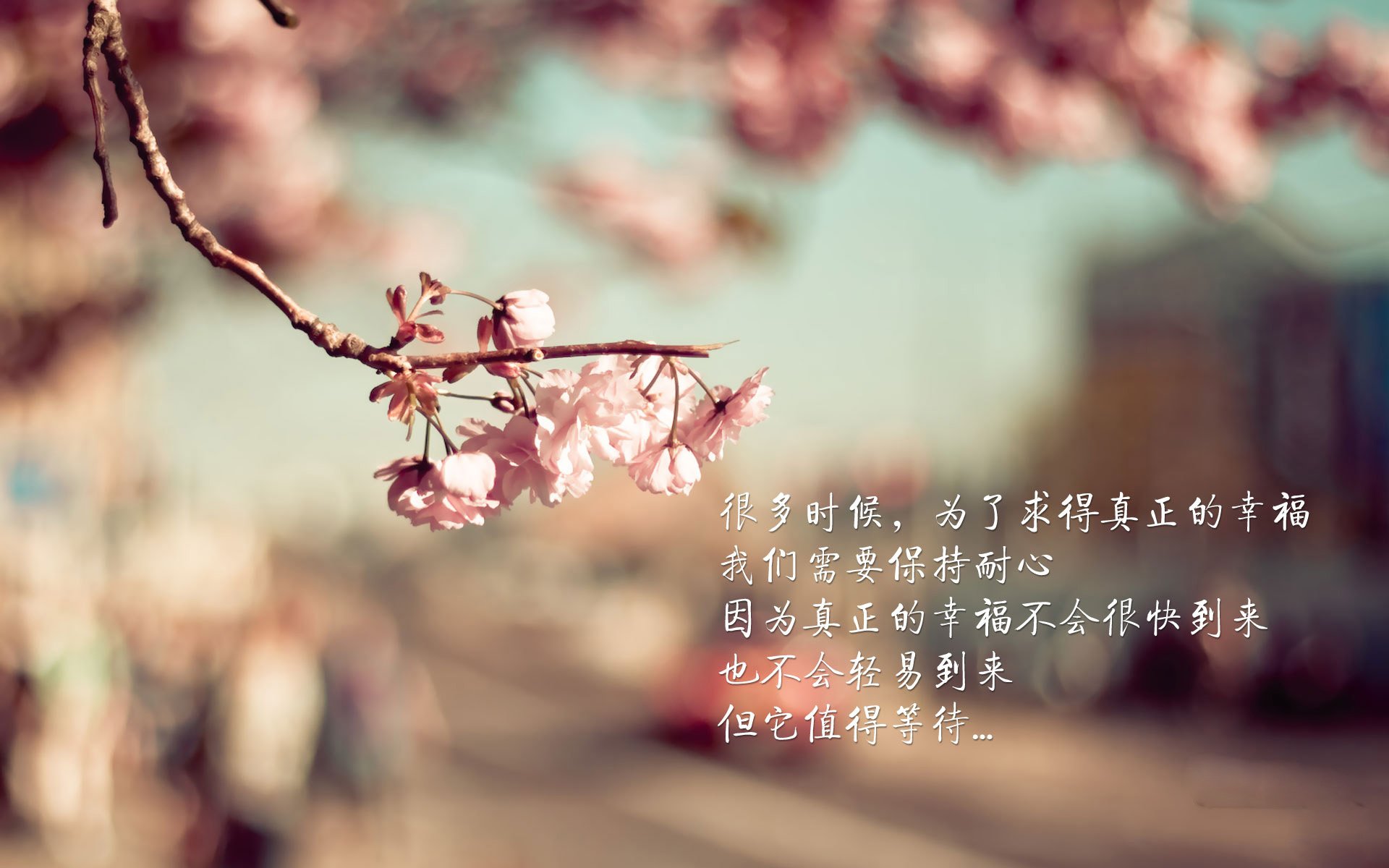 恩佐全程高能输出,加拿大爆冷击败荷兰的制胜密钥