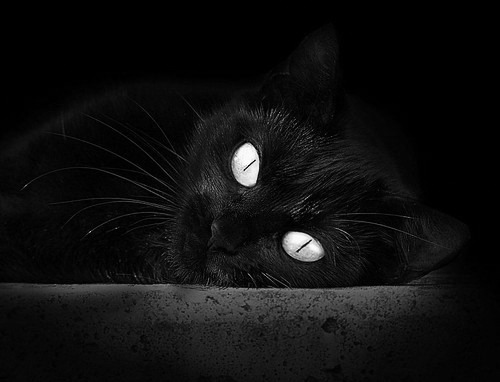 数据之外，当冰冷马刺穿透印第安纳热土，切特如何用11英尺的野心接管东决？