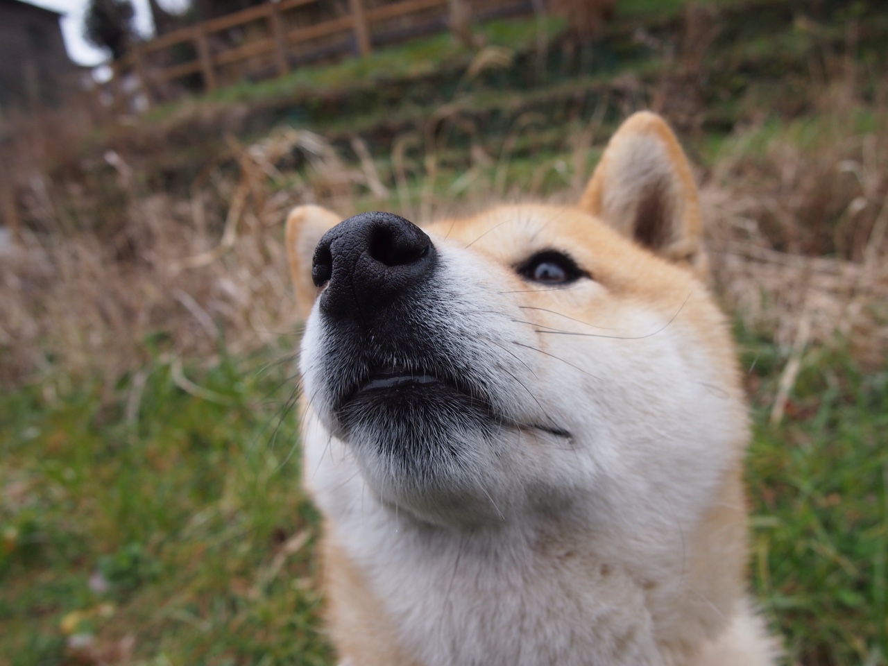 独步江湖，利刃出鞘—爱德华兹持续制造杀伤，公牛风卷残云速胜深圳队