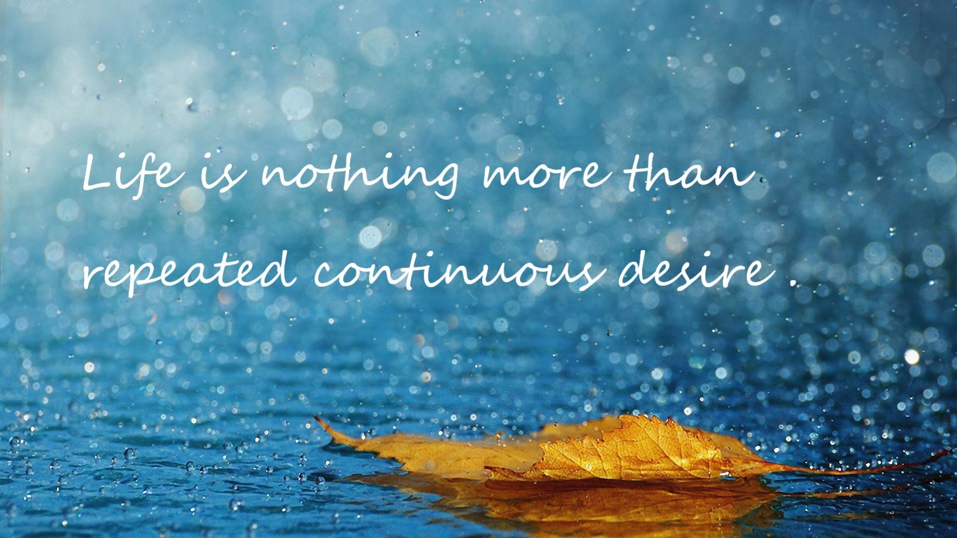 跨越国界的双响炮，巴拉圭新星震撼加盟塞维利亚，奥斯梅恩在国家德比上演接管式表演