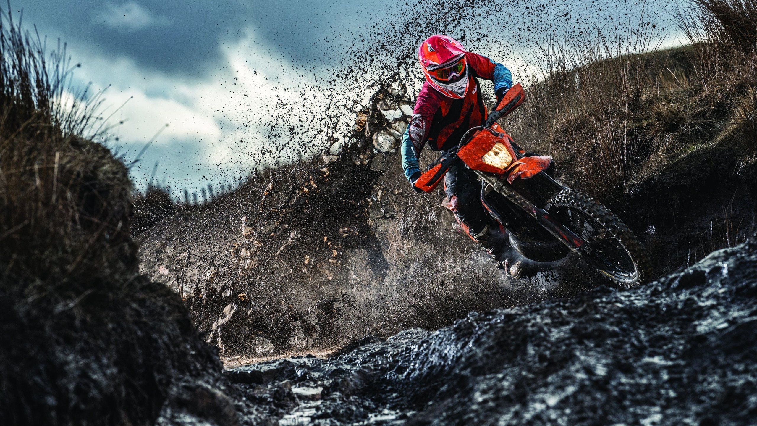 接管艺术的两种语言，约基奇的冷静算力与爱德华兹的暴力浪漫