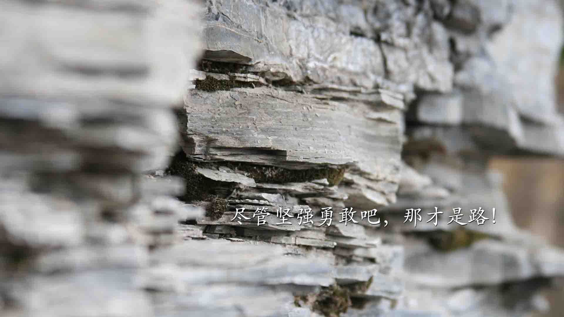 沙漠之狮的致命一击，摩洛哥在2026世界杯A组以节奏掌控绝杀印度，罗德里戈演绎中场大师课