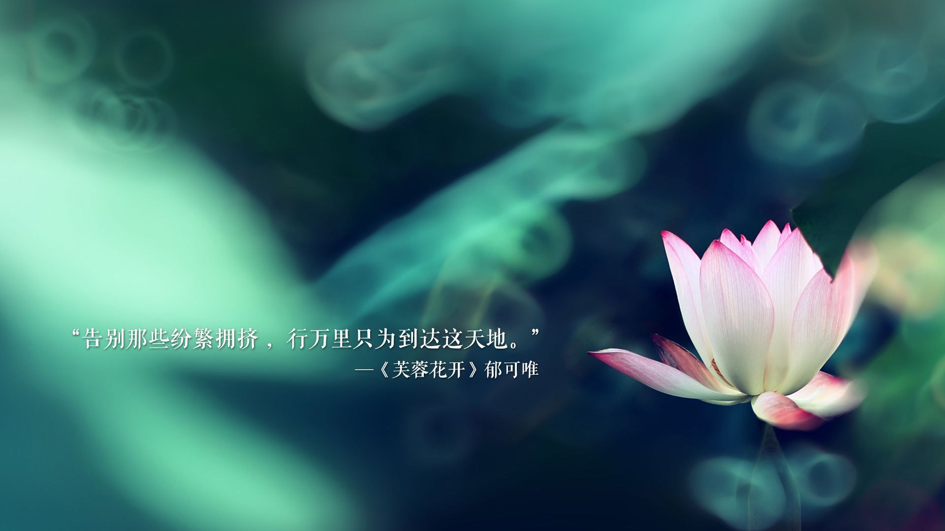 蓝衣折戟，红焰燎原，坎塞洛导演逆转，智利门神封神之夜