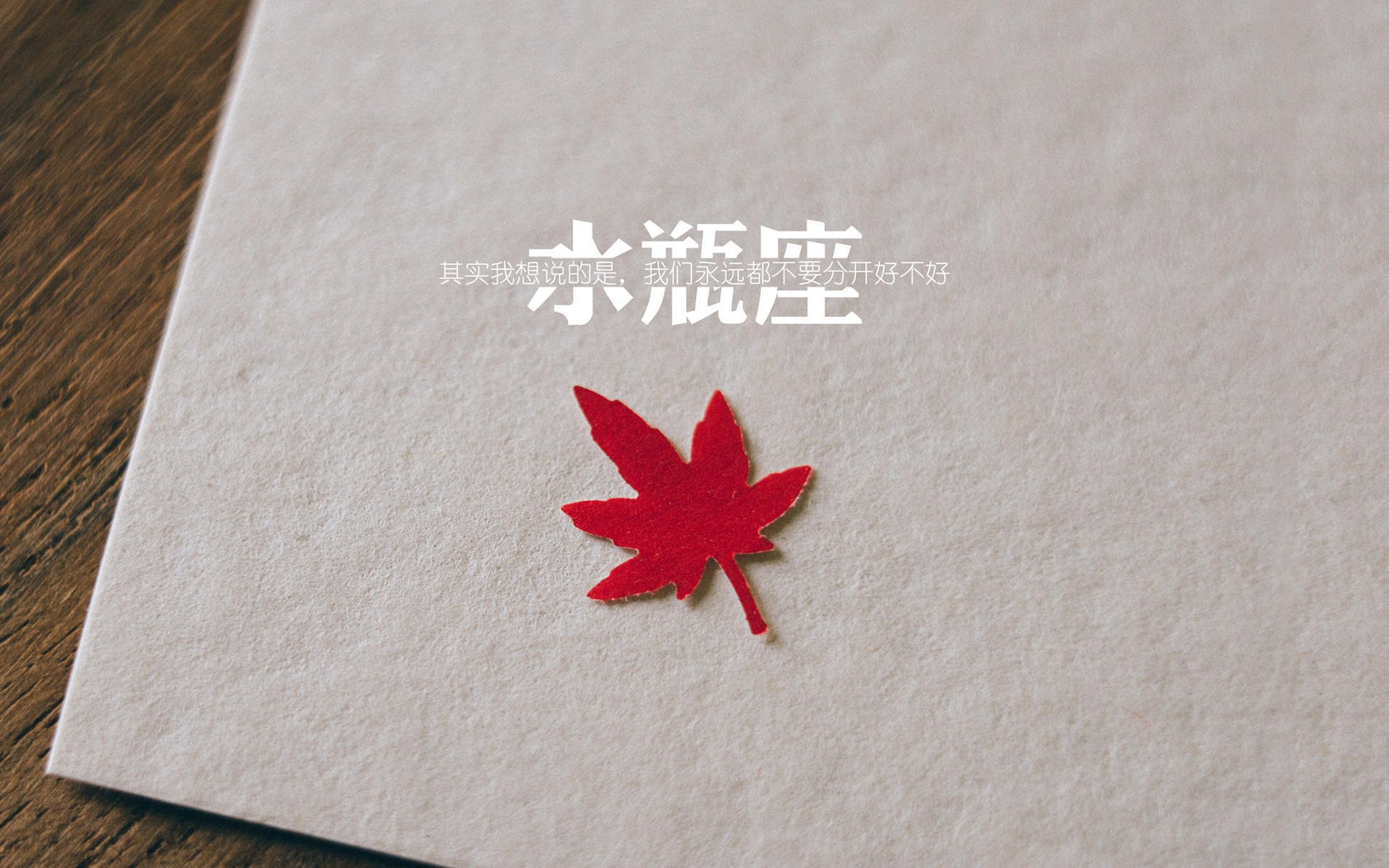 布拉格的闪电，2026世界杯，加维与捷克的冷血革命